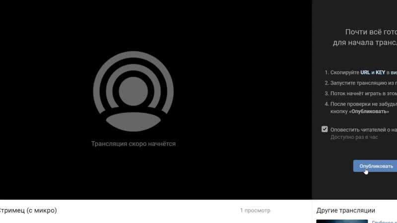 Стримец (с микро)