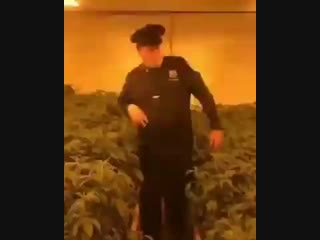 Где-то в Канаде