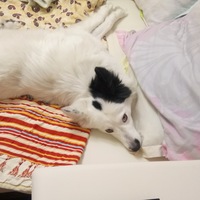 Оксана Долгих
