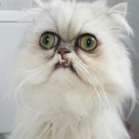 Анастасия Баженова | Великие Луки