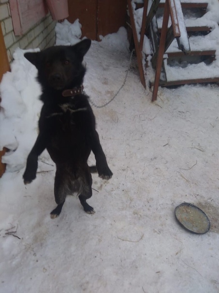 Тосик нашёлся