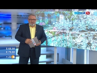 Напилили дров. Кладбище пострадало от коммунального вандализма