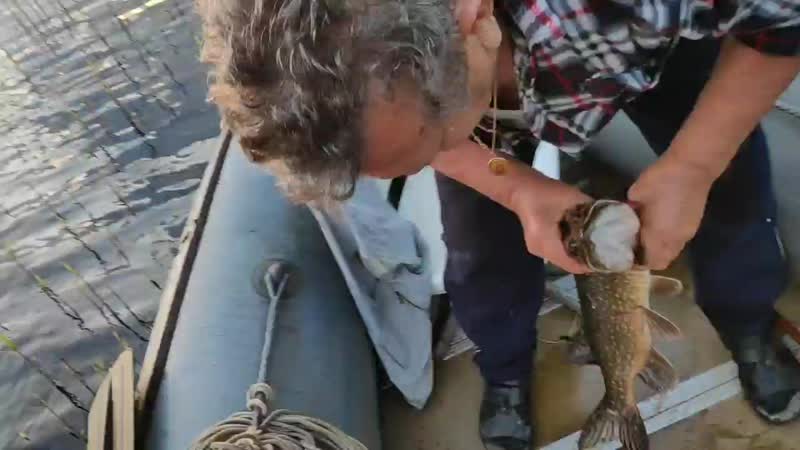 VID_20190521_205312.mp4