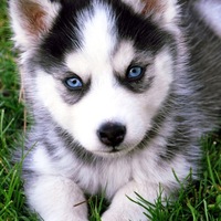 Витя Матвеев | 