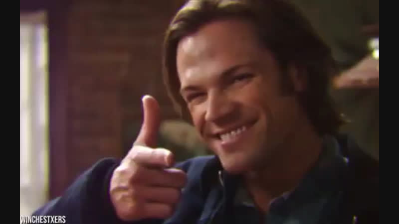 Jared x sammy vine