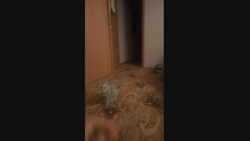 V90119-232732.mp4