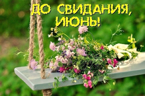 https://pp.userapi.com/c849536/v849536332/1c78b3/UH4L-0LkTjQ.jpg