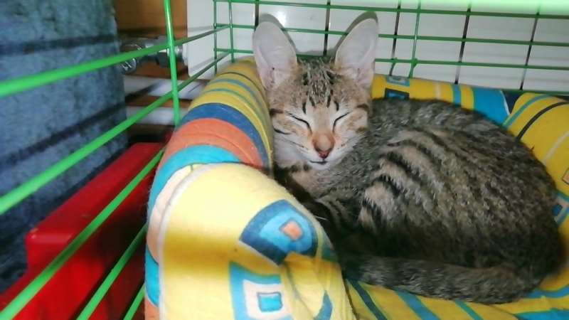 VID_20180918_150516.mp4