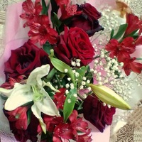 Марина Ерохина | Дятьково