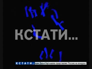 Руки из темноты - нижегородские студенты своим искусство выиграли деньги Егора Крида