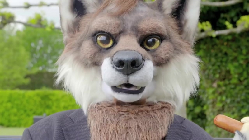 Fursuits - Love Today