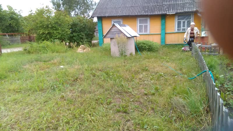 VID_20180709_121914.mp4