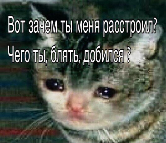 pTydEPJv_ig.jpg