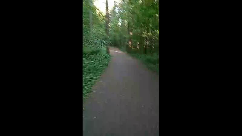 утро в Сосновке.