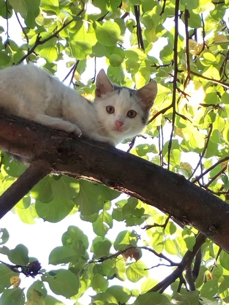 фотография из вКонтакте