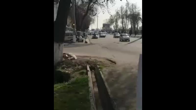 йол потрули