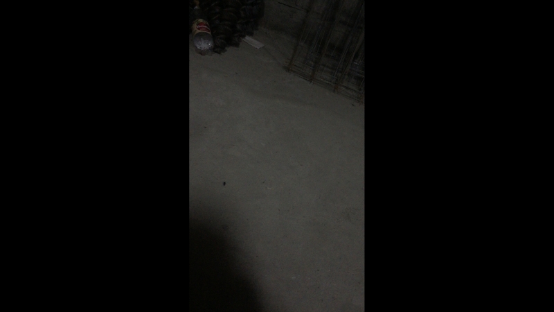 Nursultan Bazarbaev — Live