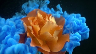 Paint in Water