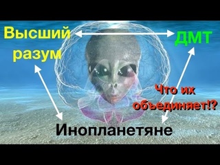 Рик Страссман о ДМТ и инопланетянах. Аяваска, Аяуаска, Ayahuasca, Буфо и Камбо.