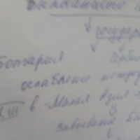Санек Топчик