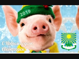 С Новым годом, Светогорск! В 2010 году эта песенка объединяла всех жителей.