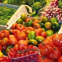 Ольга Базарова | 