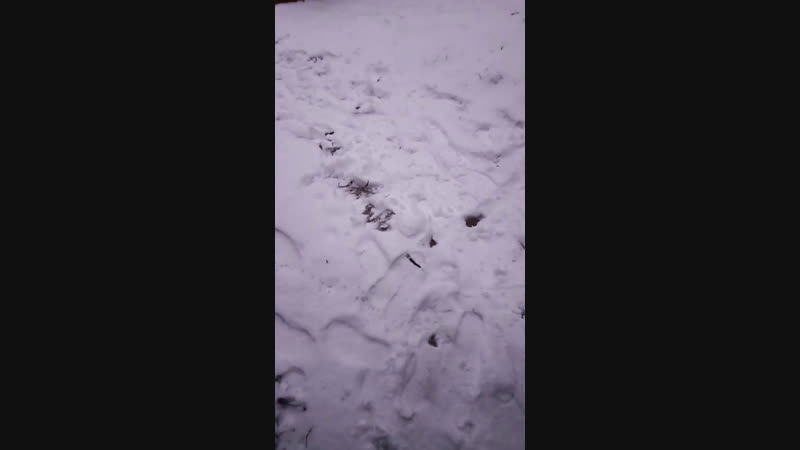 эх