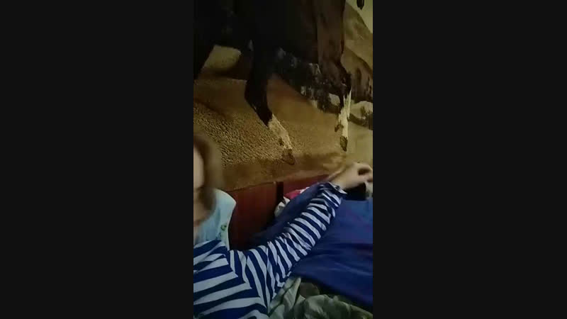 🐼😂
