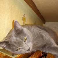 Юля Попова | Санкт-Петербург