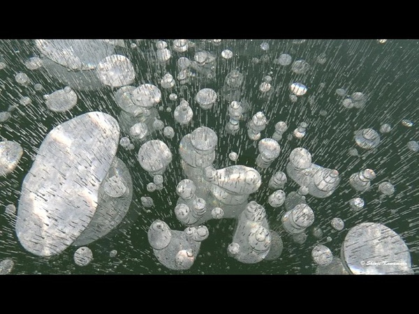 北海道糠平湖、この冬アイスバブルの宝庫に...。