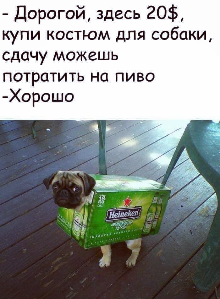 4zzMZrCuLRE.jpg