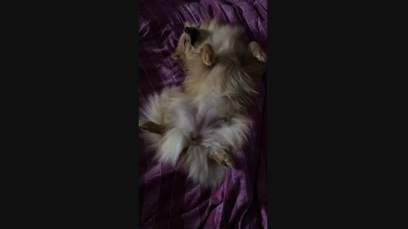 VID_19790404_210114_418.mp4