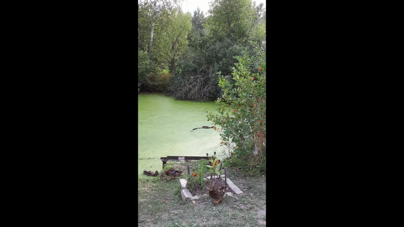 20180907_170830.mp4