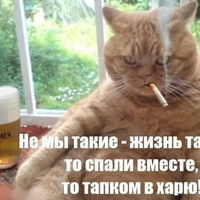 Евгений Огнев | 