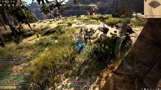 BLACK DESERT E O EXPLOIT DO MERCADO NOVO
