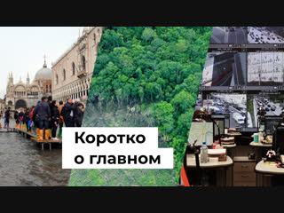 Камеры, Венеция, WWF