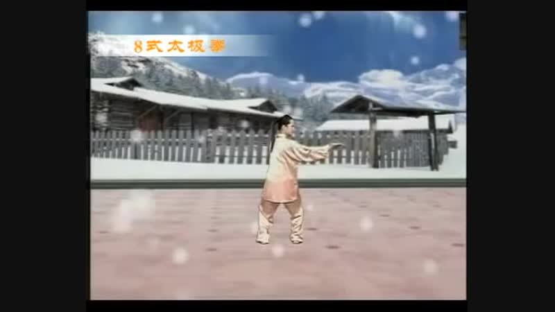 Taiji-8