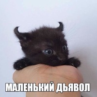 Александр Воробей