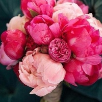 Катя Светлова | 