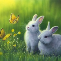 Мария Шерстобитова | Челябинск