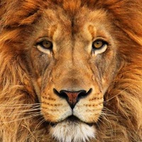 Андрей Крамарев |