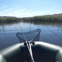 Дмитрий Амосов | Могилёв