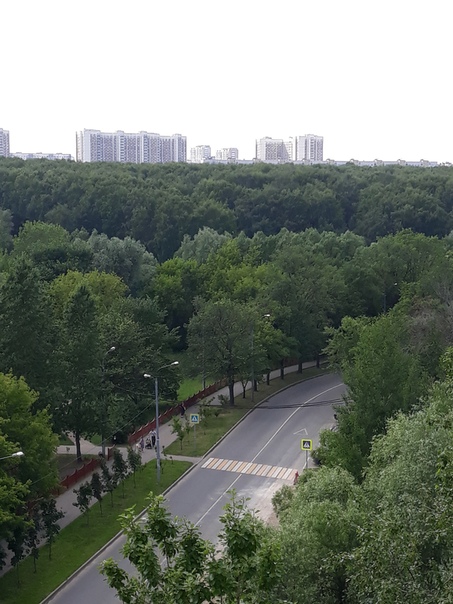 Фото: Алтуфьево, 2 к квартира У ПАРКА, СОБСТВЕННИК, 10- 15 минут пешком от метро! Арендаторы, пишите! С агентами не работаем.<br>Квартира в прекрасном, тихом красивом месте : у парка Лианозовский заказник; адрес ул. Белозерская 5. Улица узкая , минимум движения и шума. На просторной лоджии можно пить чай и наслаждаться видом и волшебным воздухом- парк прямо внизу.<br>По расположению это 10-15 минут пешком от метро 