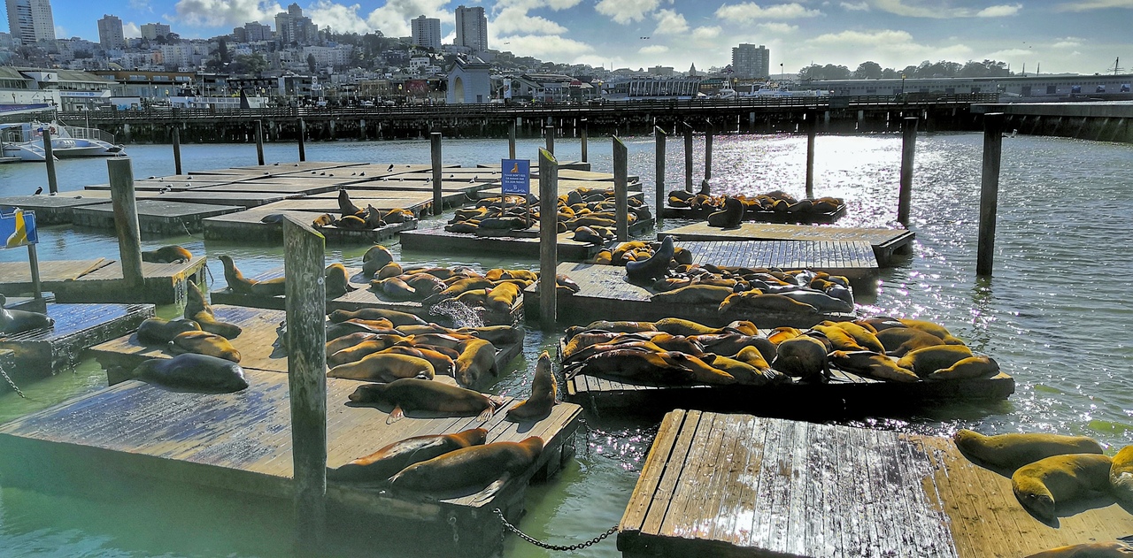 Ударим автопробегом по дикому западу! USA 2019 7-25 марта.