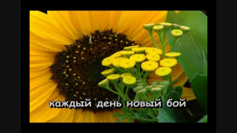 Мой брат десантник