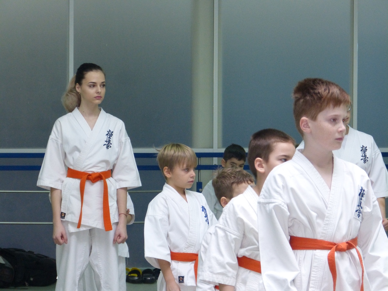 Истинная цель искусства каратэ Киокушинкай