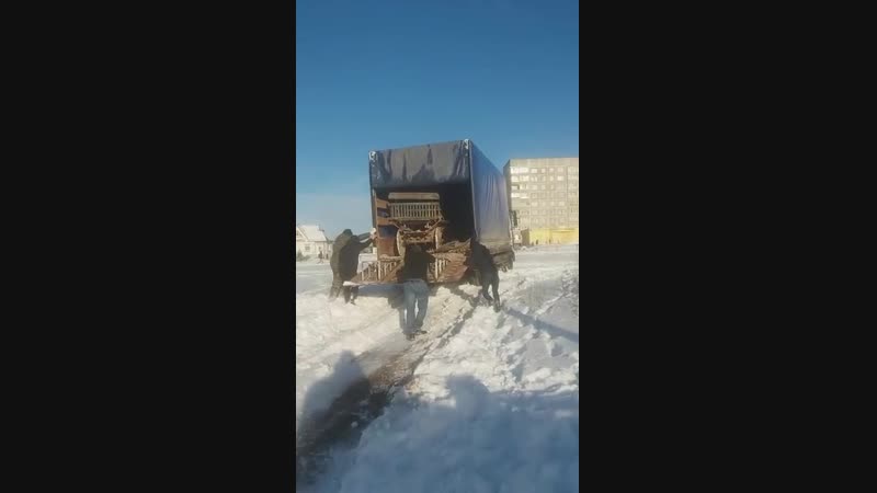 Без названия