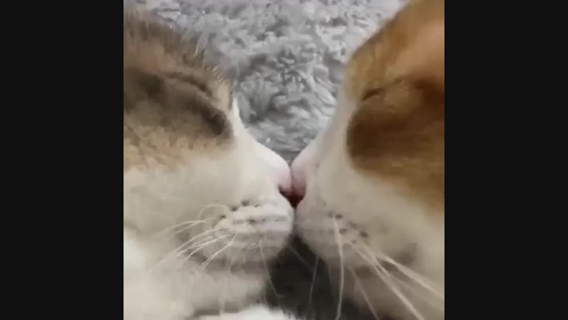 Как вы с женой проводите выходные