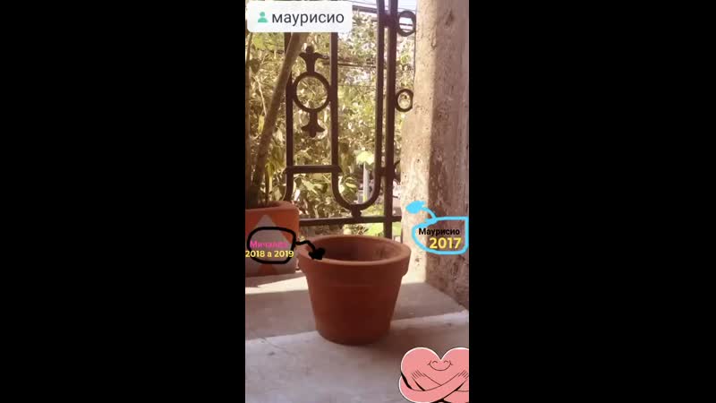 Mau y mish(480p).mp4