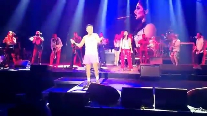 Ленинград. Путину всё можно